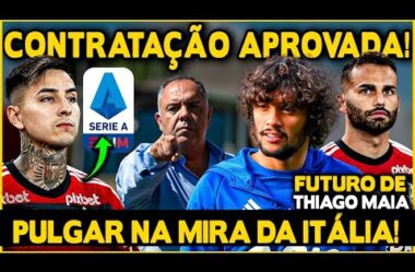 TITE APROVA CONTRATAÇÃO DE GUSTAVO SCARPA! CLUBES DA EUROPA QUEREM PULGAR! FUTURO DE THIAGO MAIA!