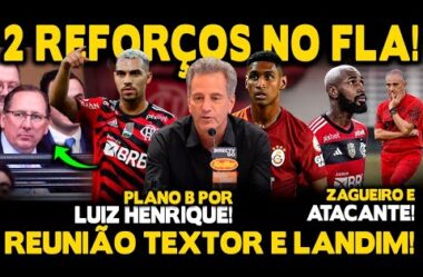 MAIS 2 REFORÇOS NO FLA! REUNIÃO DE TEXTOR E LANDIM! ATACANTE E ZAGUEIRO! COLETIVA DE TITE E GERSON!