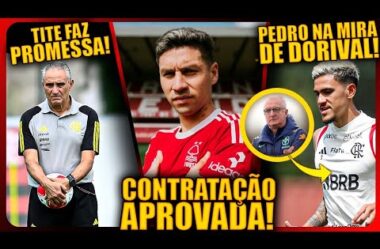 CONTRATAÇÃO APROVADA NO FLAMENGO! TITE FAZ PROMESSA! PEDRO NA MIRA DE DORIVAL! 9 CONVOCADOS NO FLA?