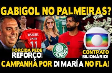 A VERDADE SOBRE GABIGOL NO PALMEIRAS! TORCIDA PEDE CONTRATAÇÃO DE DI MARÍA! CONTRATO BILIONÁRIO!