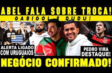 ABEL FERREIRA ABRE JOGO SOBRE GABIGOL NO PALMEIRAS E DUDU NO FLAMENGO! ALERTA LIGADO COM URUGUAIOS!