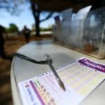 Lotofácil 3631: Veja os números sorteados e porquê apostar