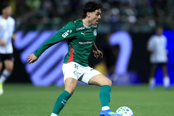 Torcida do Palmeiras explode contra gramado vergonhoso na Libertadores