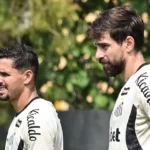 Falhas grotescas da defesa derrubam o Santos contra o Botafogo