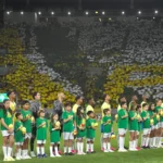 CBF busca estádios para amistosos da Seleção em novembro e prioriza Nordeste