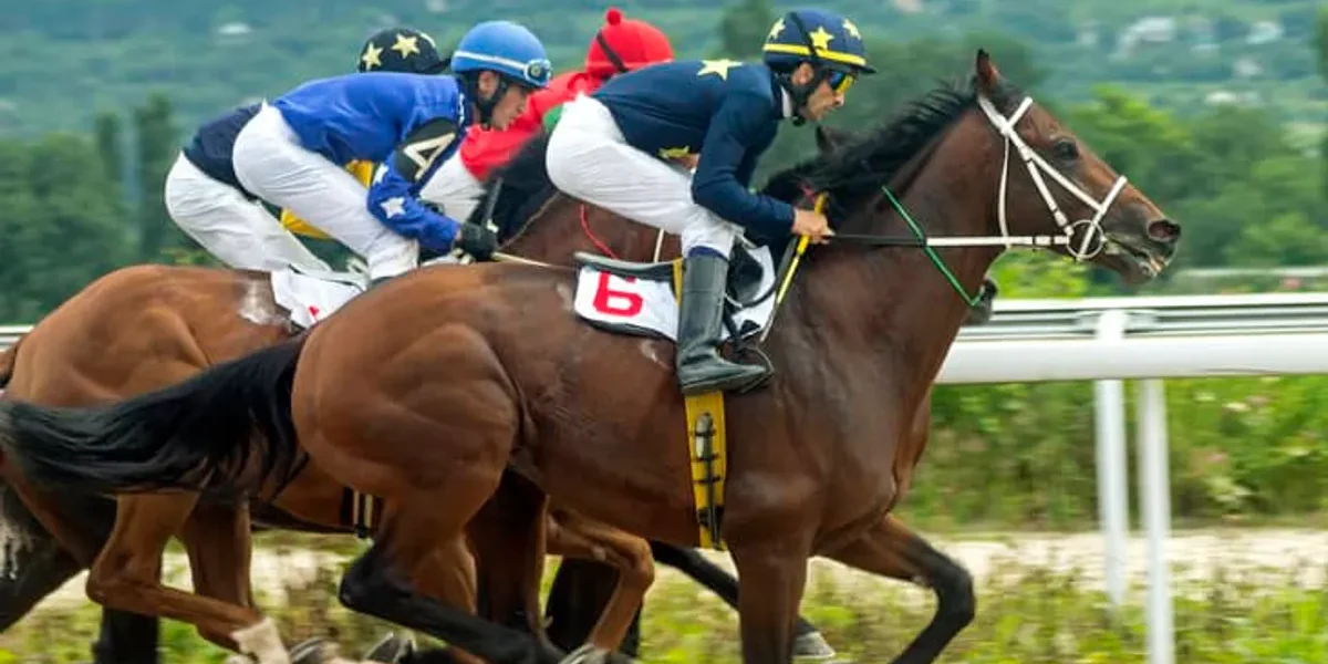 Guia completo: como apostar em corridas de cavalos e lucrar