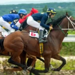 Guia completo: como apostar em corridas de cavalos e lucrar