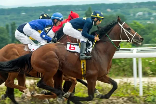 Guia completo: como apostar em corridas de cavalos e lucrar