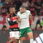 Brasileirão: Chance do Palmeiras despenca; Flamengo encosta no topo