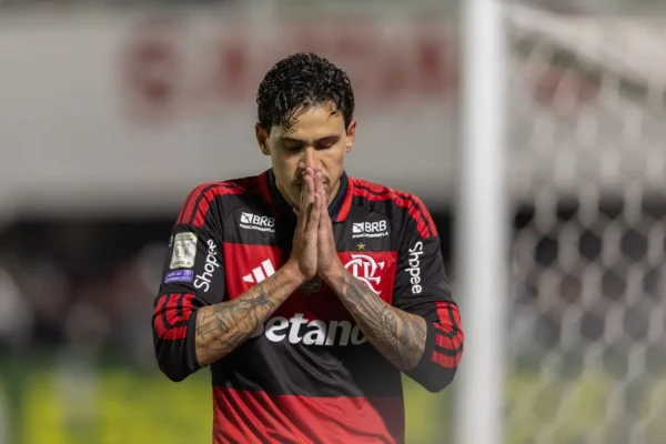 Flamengo atropela Mirassol: 5 a 1 e show de eficiência ofensiva no Brasileirão