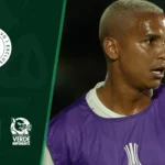 Live Verde acende alerta: Palmeiras precisa evoluir antes de encarar LDU na altitude