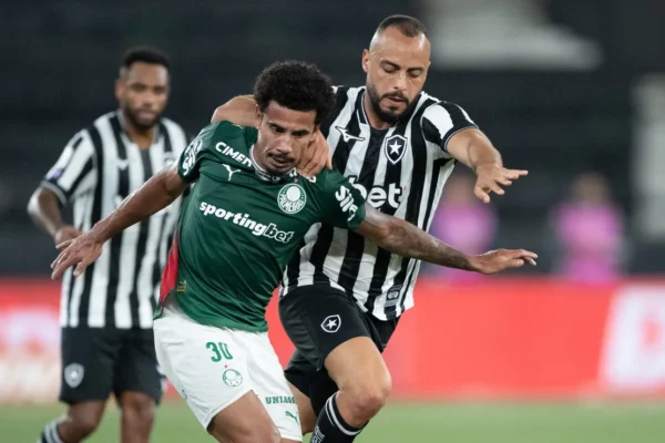 Botafogo e Palmeiras ficam no zero: empate sem gols no Nilton Santos