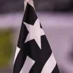 Botafogo e mais nove times recebem R$ 10 milhões antecipados da FFU