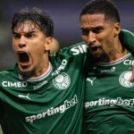 Palmeiras mira R$ 60 milhões para novo máster; gigante chinesa pode crescer