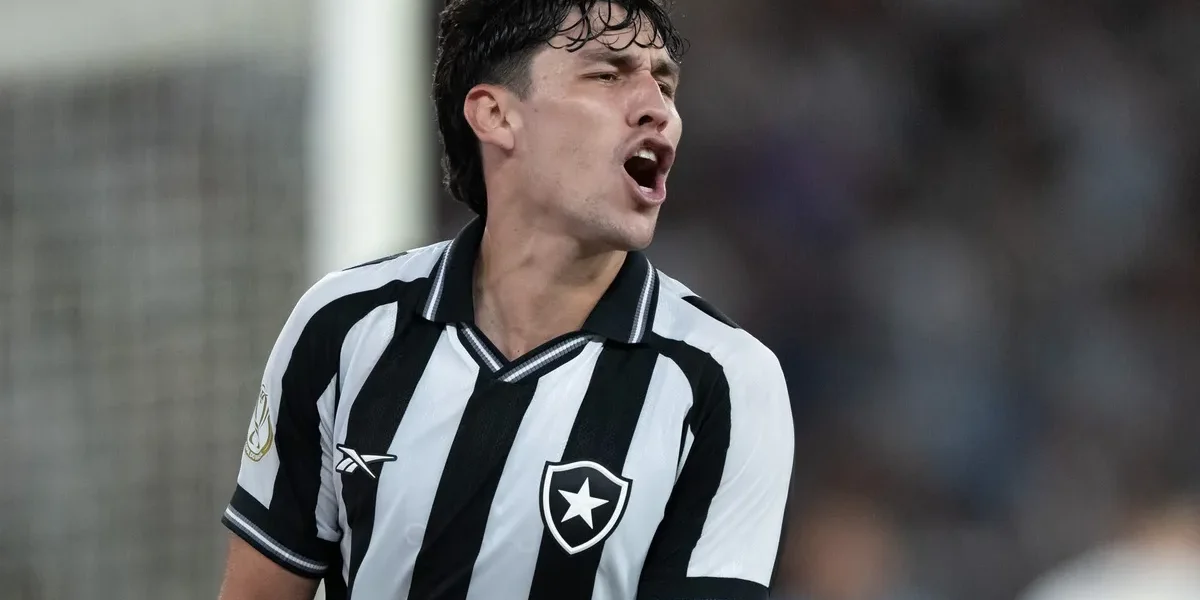 Ferraresi vê Botafogo evoluir e foca vitória sobre Chapecoense