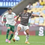 Fluminense x Palmeiras: Duelo de Gigantes na Semifinal da Libertadores