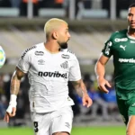 Jogos de Hoje 28/10: Onde Assistir Palmeiras, Flamengo e Mais ao Vivo